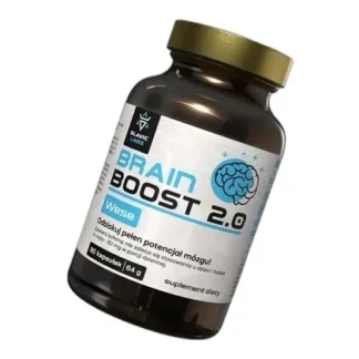 SLAVIC LABS BrainBoost Wese Slavic Labs KONCENTRACJA PAMIĘĆ 2.0 — zdjęcie 1